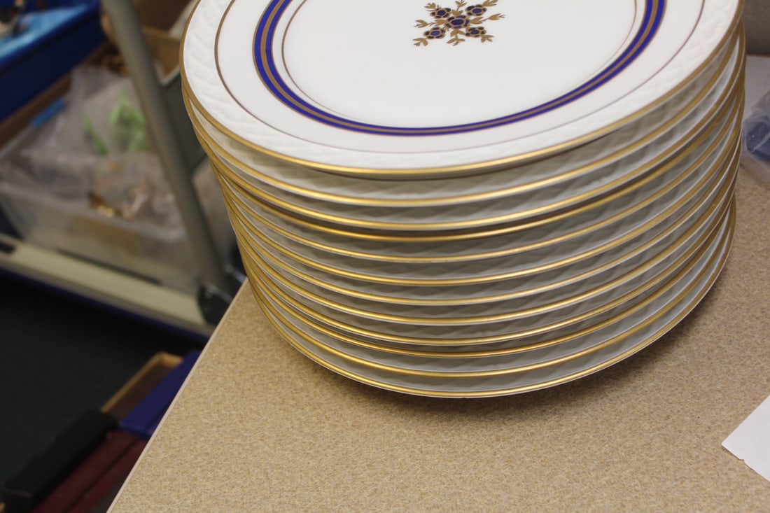 Set of 12 Pirkenhammer Dinner Plates - 2