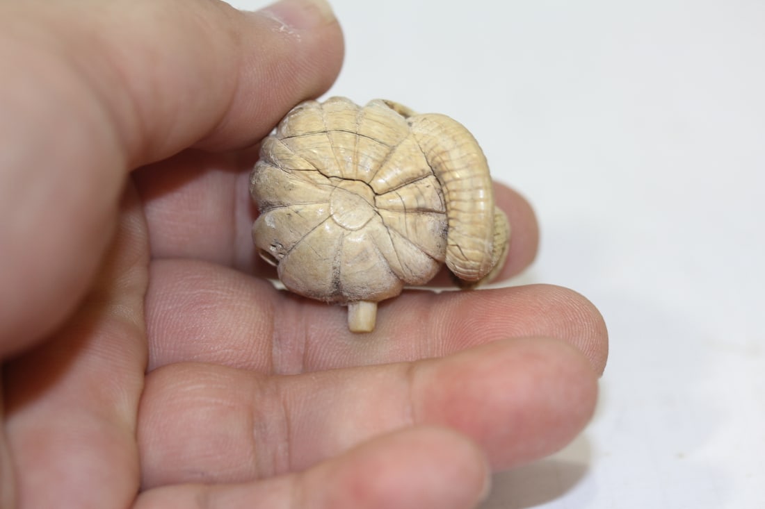 An Intricated Carved Bone Japanese Okimono - 9