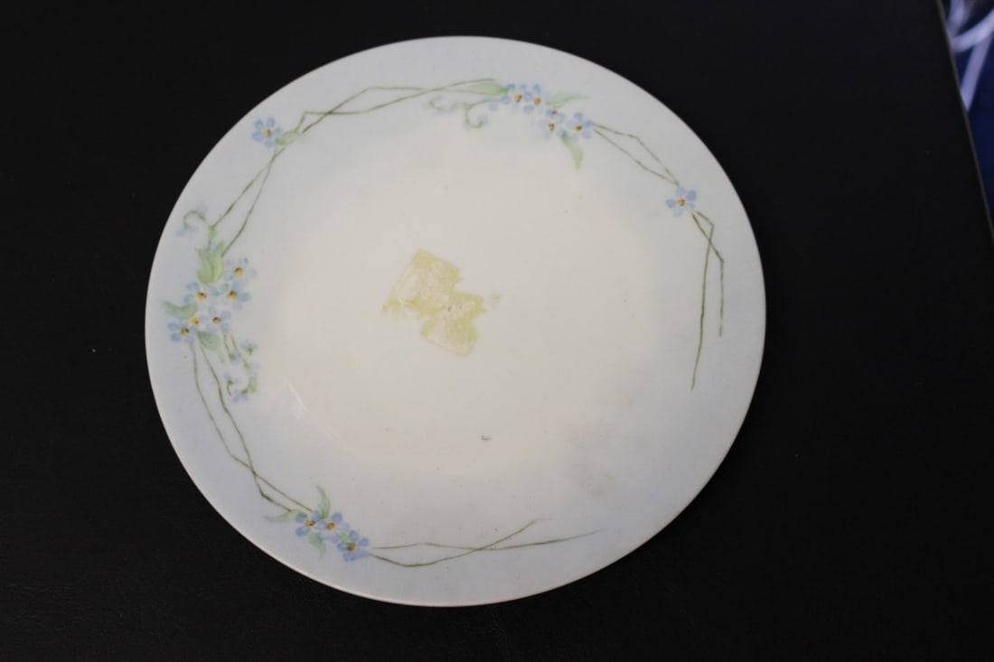 An Antique Hutschenreuther Selb Plate - 2