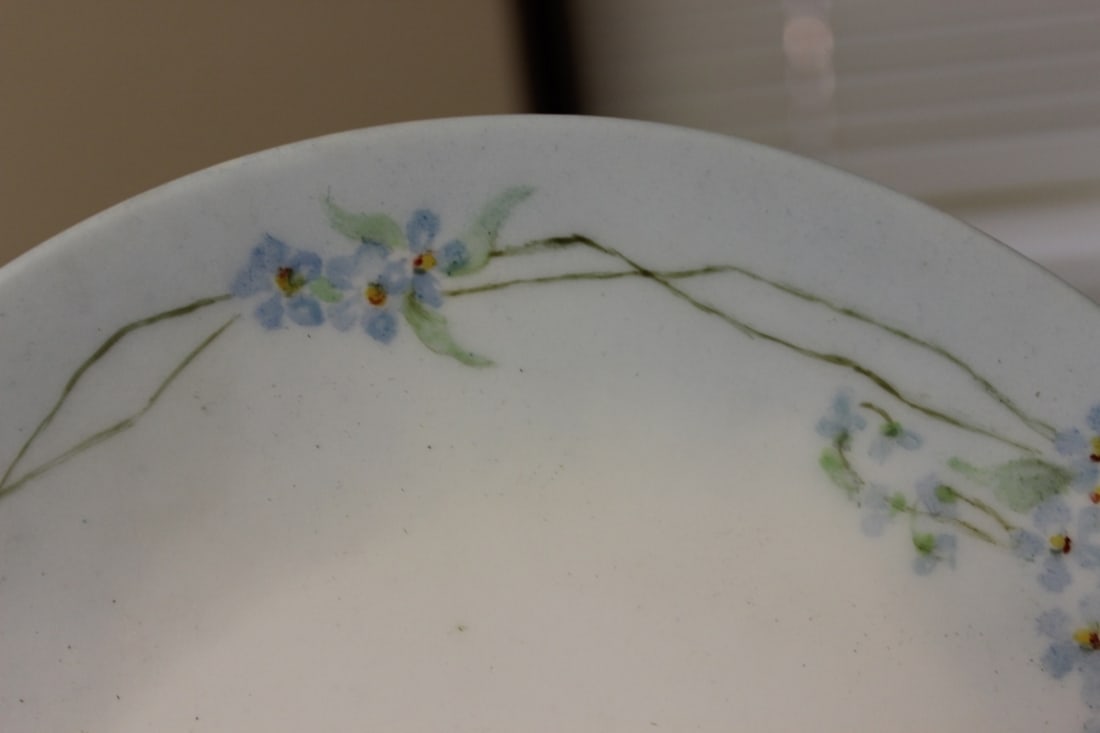 An Antique Hutschenreuther Selb Plate - 5