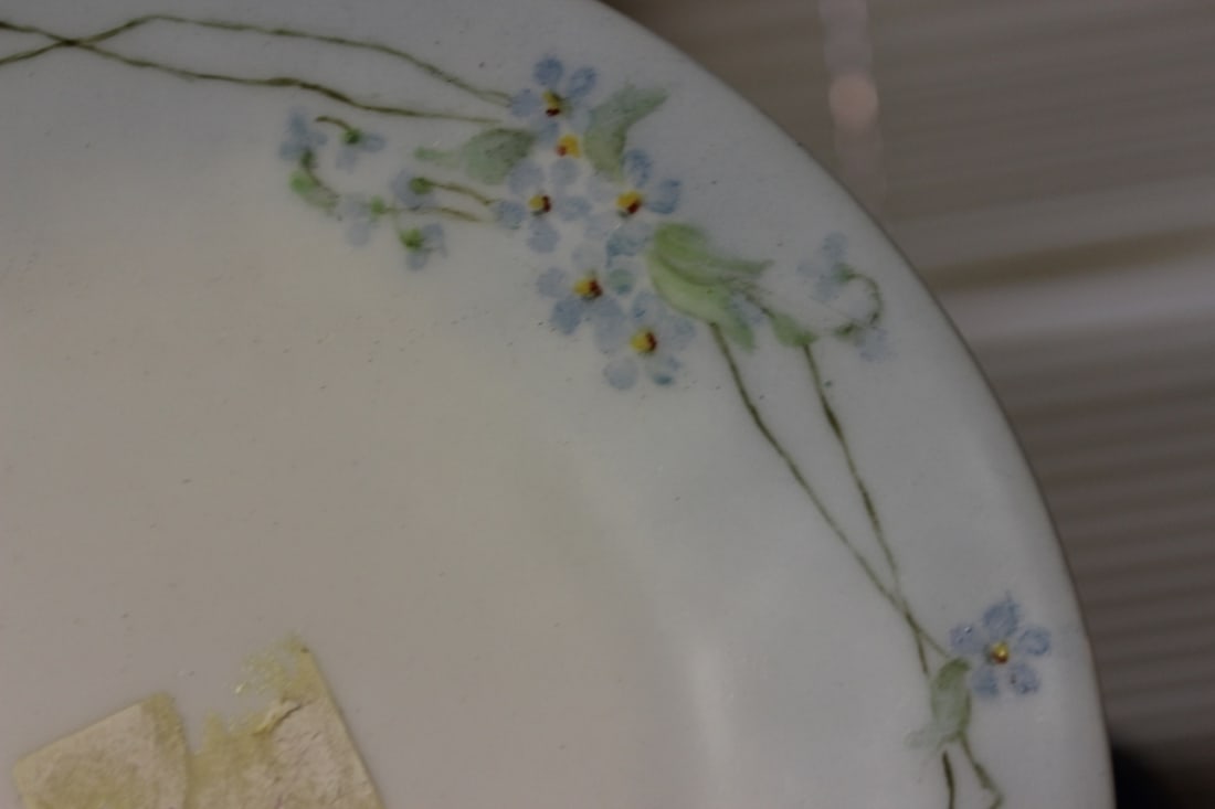 An Antique Hutschenreuther Selb Plate - 6