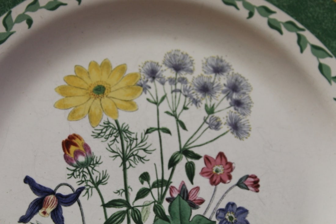 A Smithsonian Institution Plate - 2
