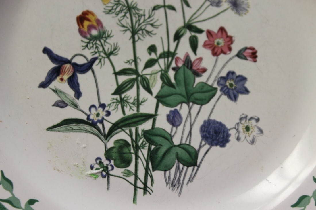 A Smithsonian Institution Plate - 3