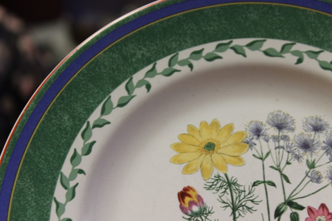 A Smithsonian Institution Plate - 4