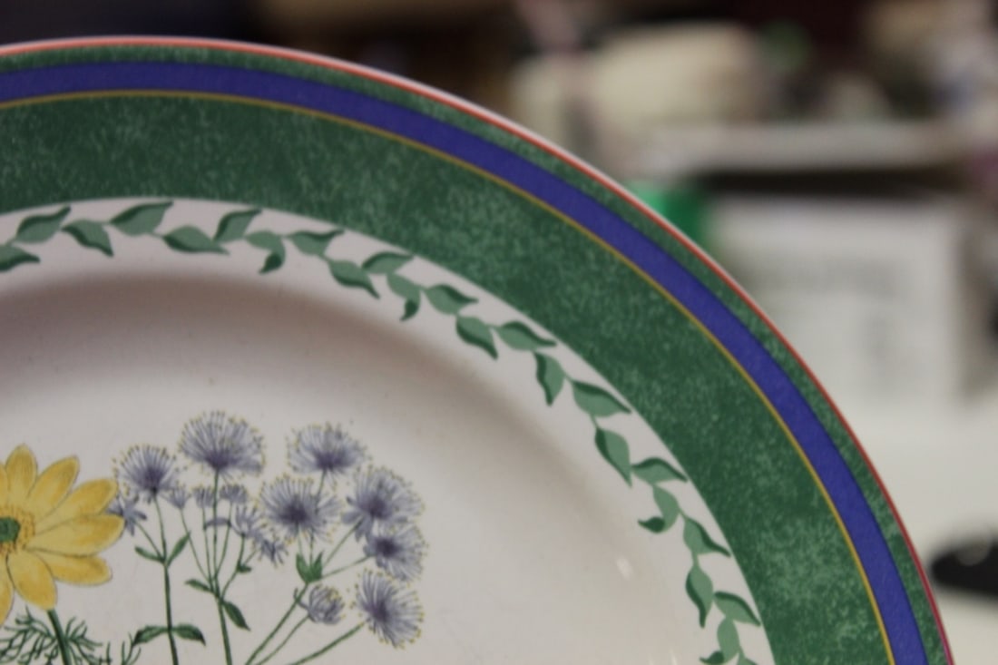 A Smithsonian Institution Plate - 5