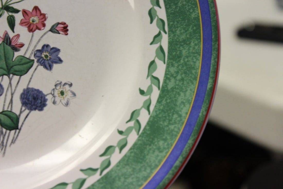 A Smithsonian Institution Plate - 6
