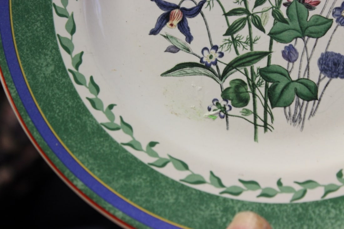 A Smithsonian Institution Plate - 7