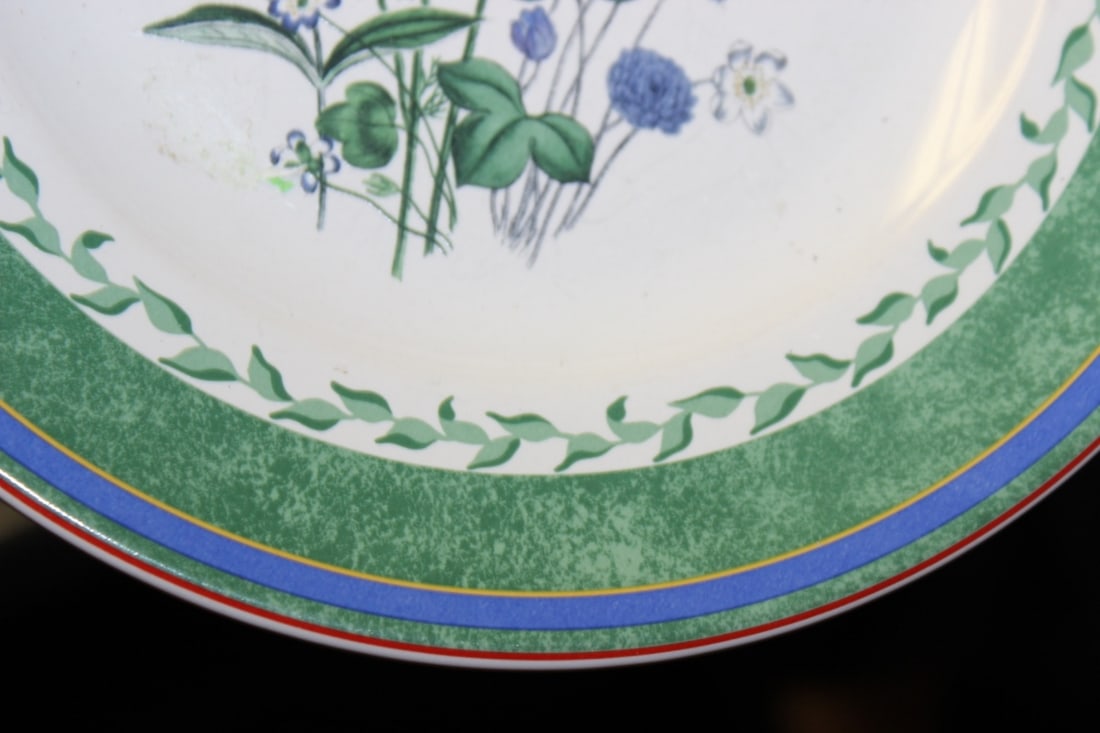 A Smithsonian Institution Plate - 8