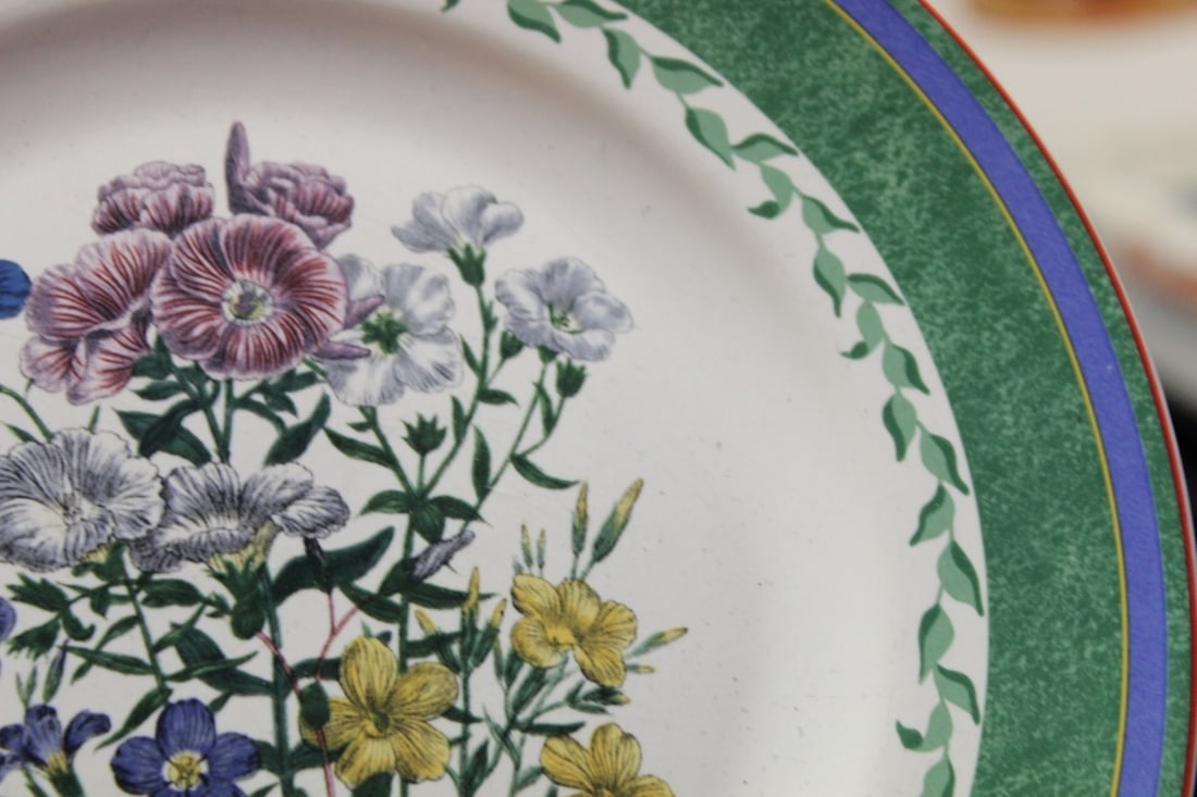A Smithsonian Institution Plate - 3