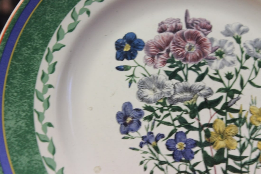 A Smithsonian Institution Plate - 4