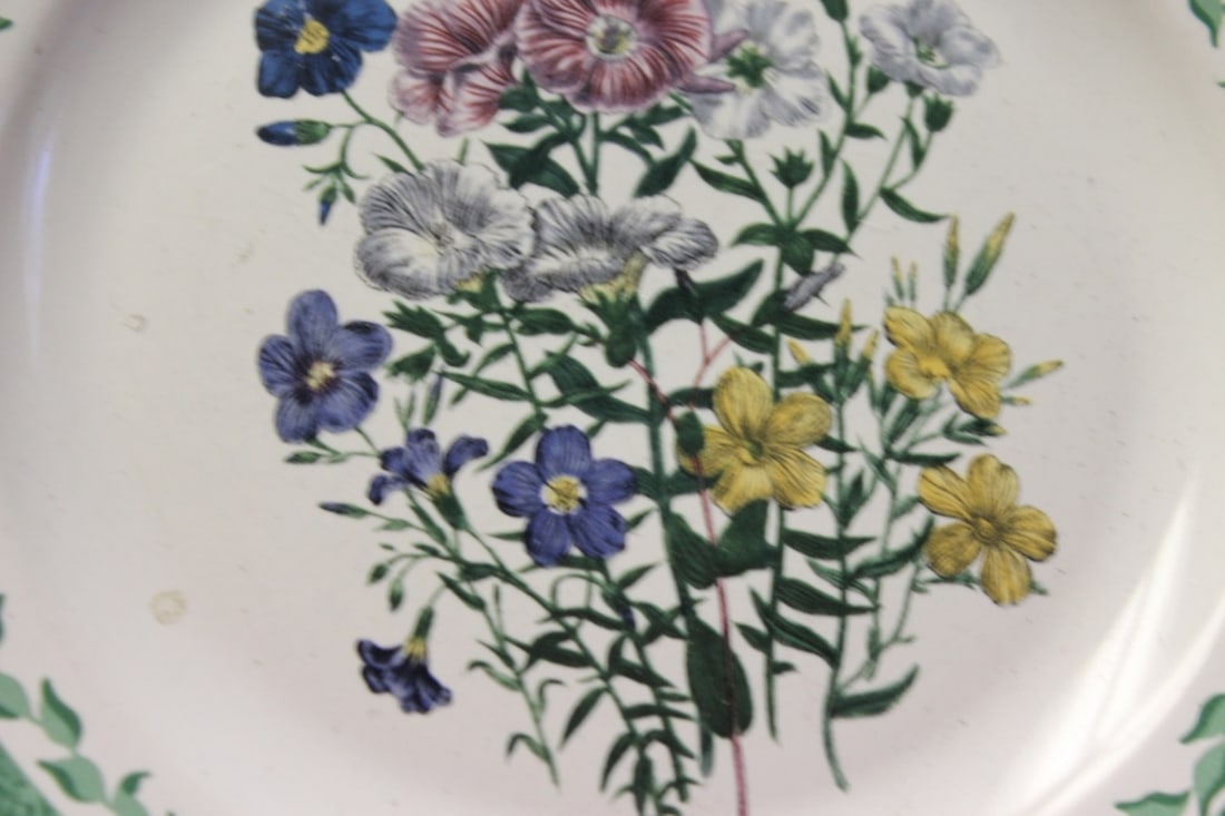 A Smithsonian Institution Plate - 5