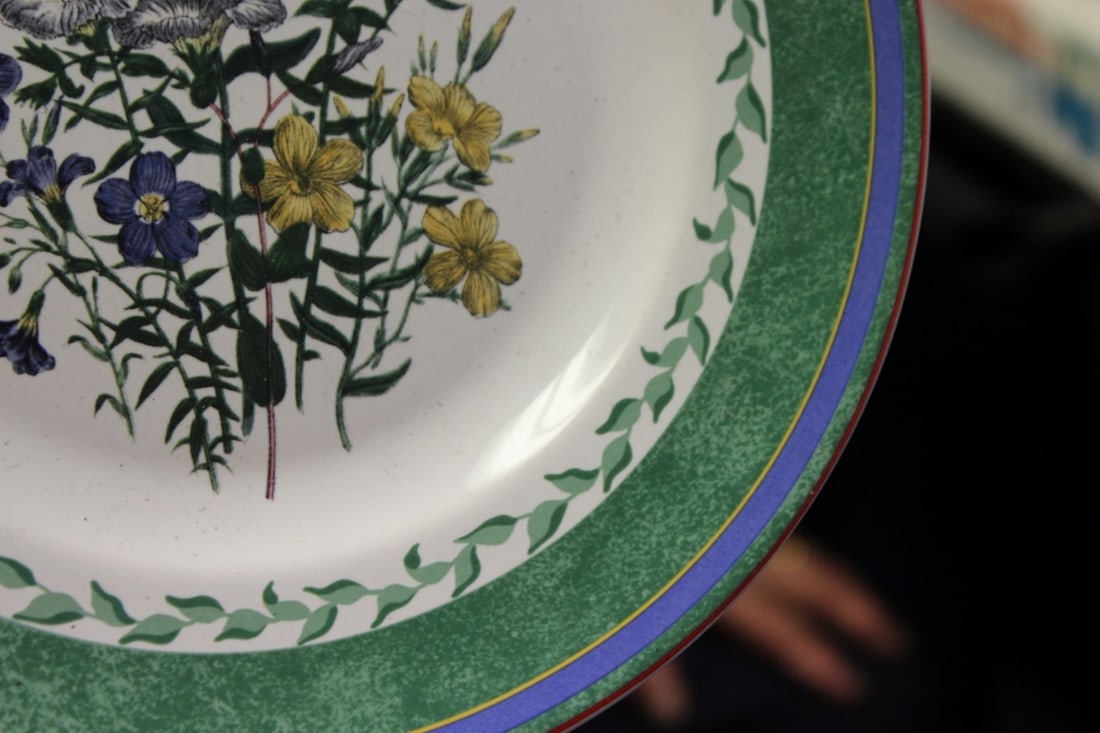 A Smithsonian Institution Plate - 6
