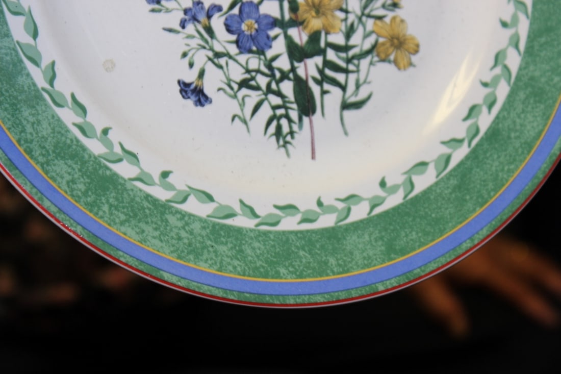 A Smithsonian Institution Plate - 7