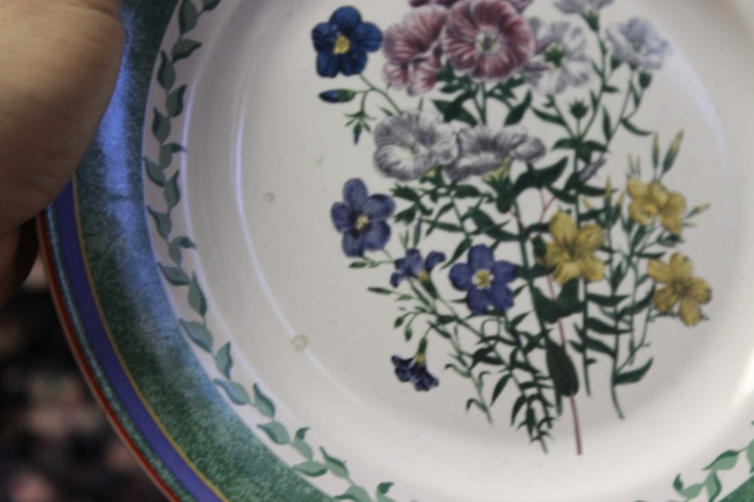 A Smithsonian Institution Plate - 8