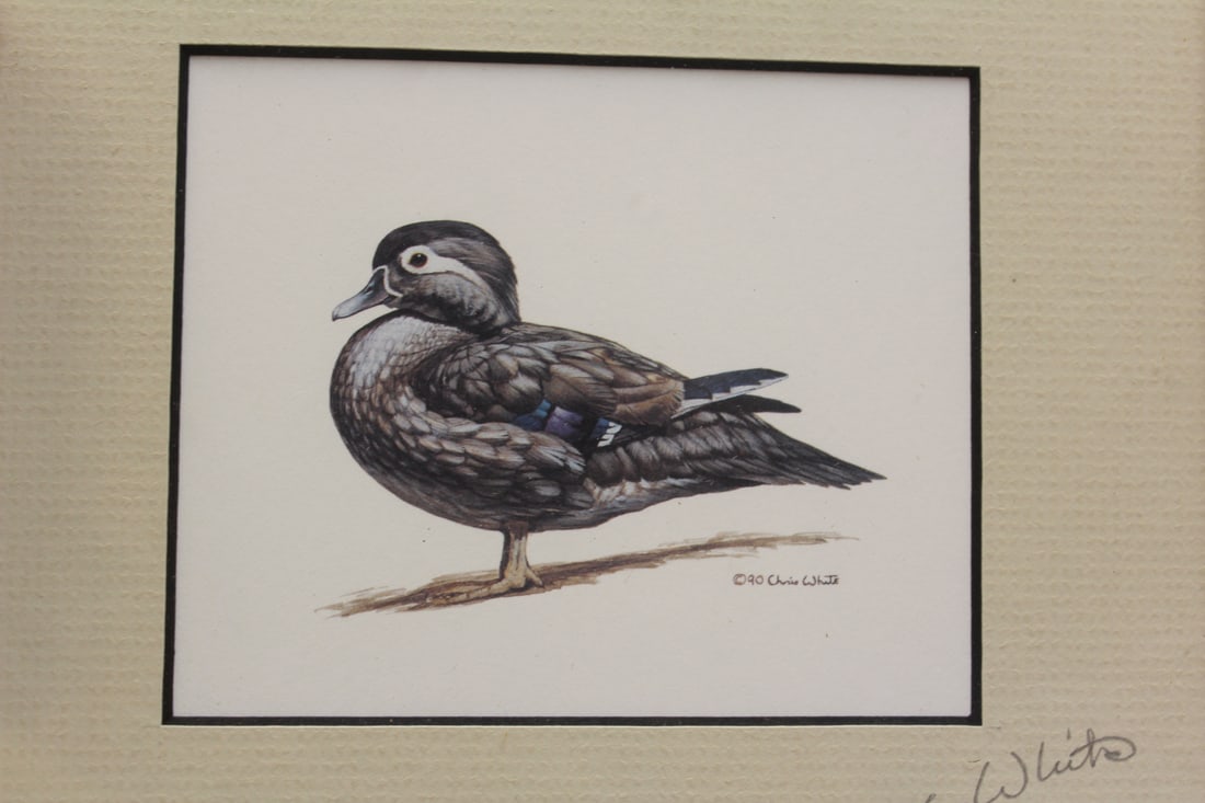 Signed Christ White Duck Print - 3
