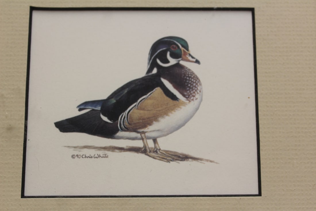 Signed Christ White Duck Print - 4