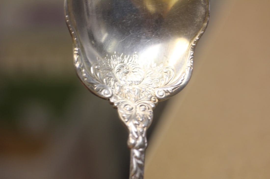 Ornate Sterling Silver Serving Spoon - 7