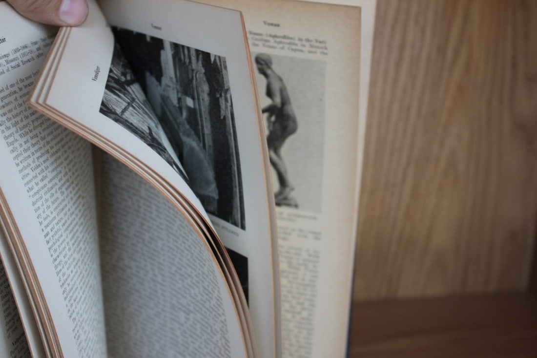 The Standard American Encyclopedia - Volume 14. - 2