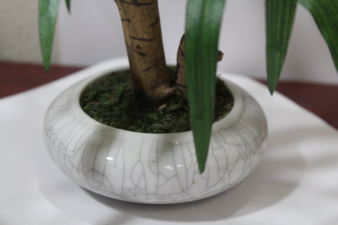 A Chinese Tree - 2