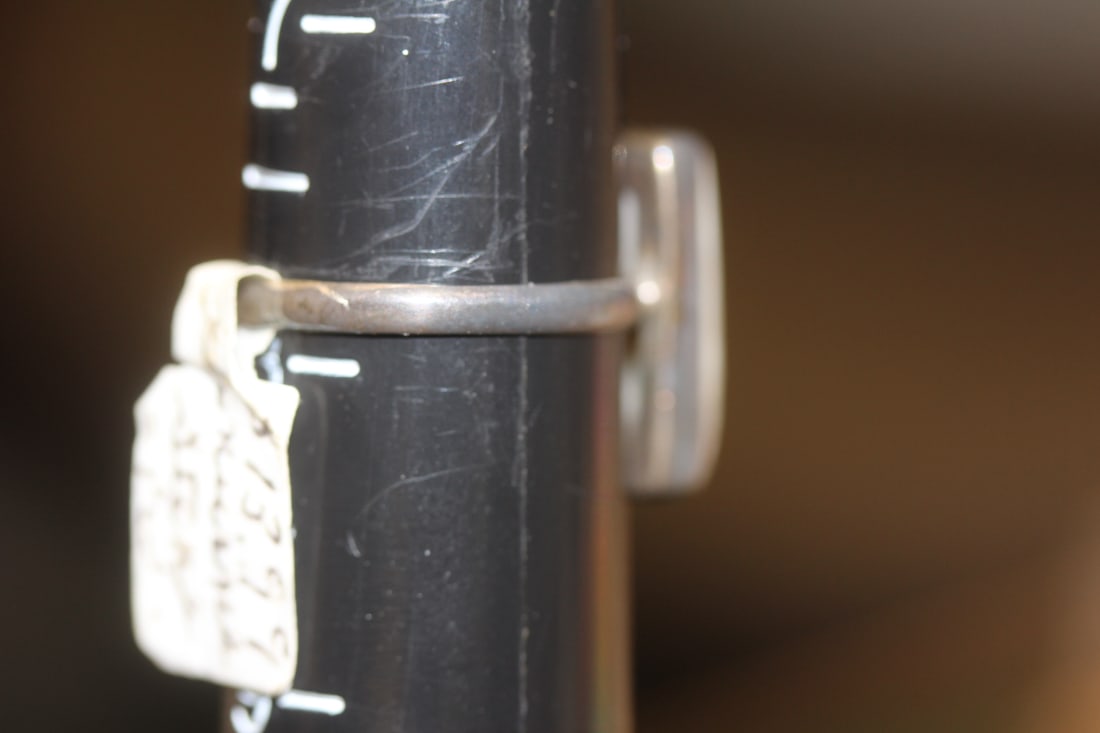 Sterling and Bone? Ring - 2