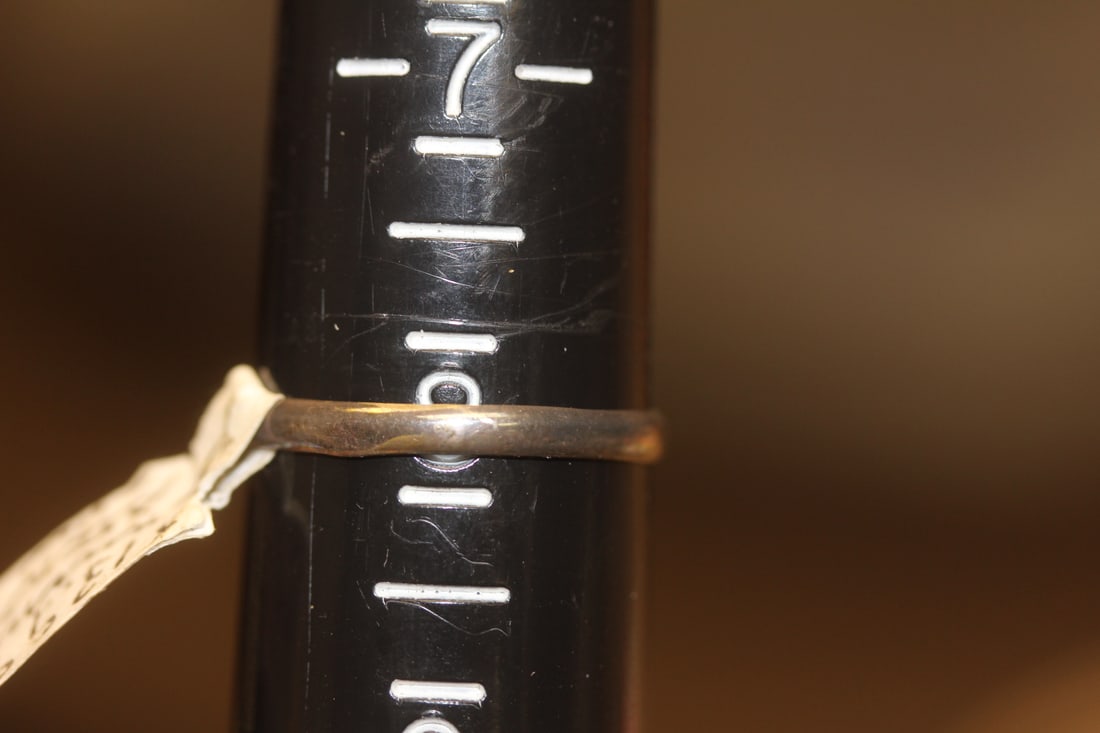 Sterling and Bone? Ring - 3