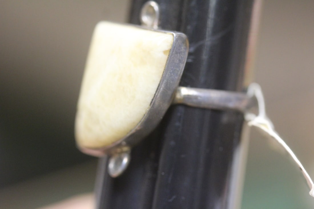 Sterling and Bone? Ring - 4