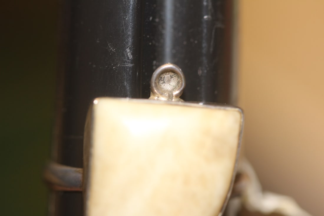 Sterling and Bone? Ring - 6