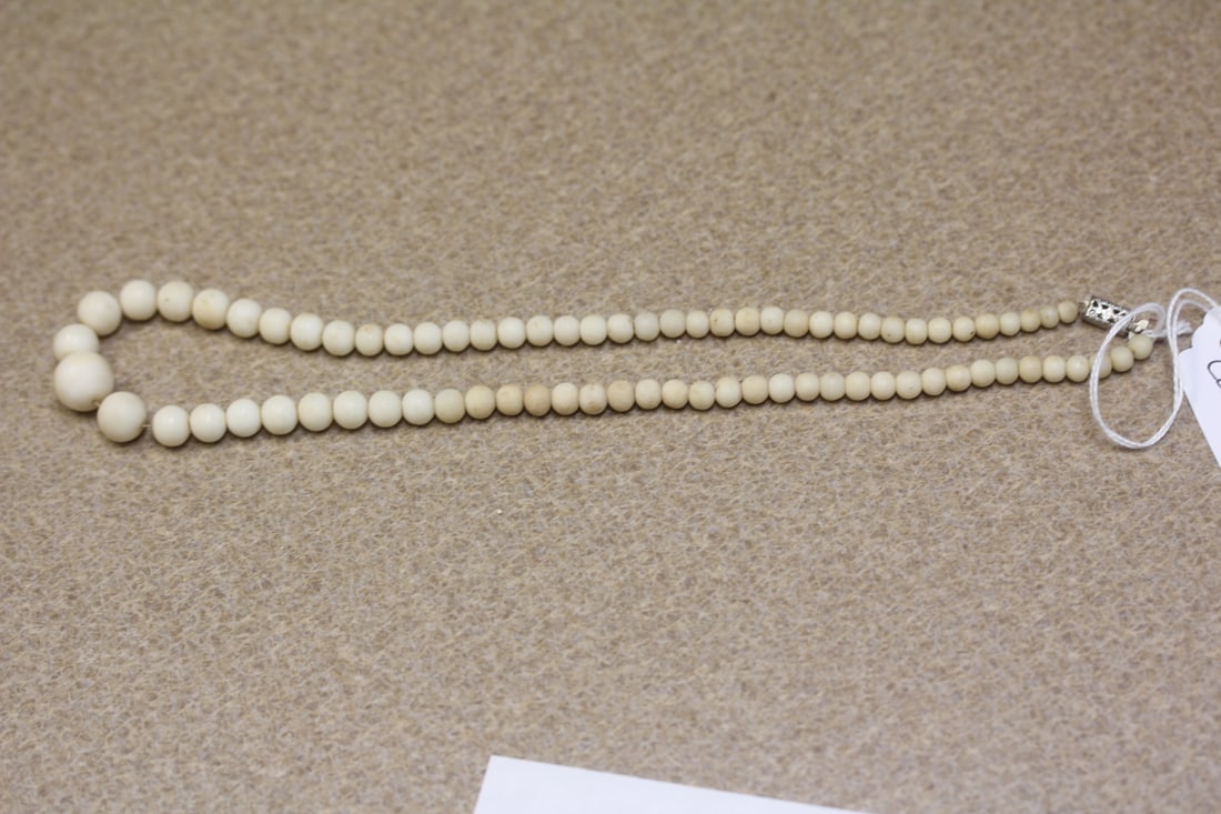 White Coral Necklace: sterling clasp - 9 1/4" long when clapsed