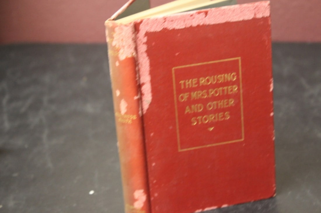 Book - The Rousing of Mrs Potter and other stories: hardcover