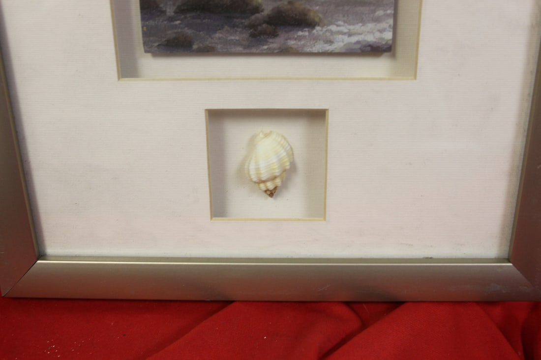 A Print with Seashell - 2