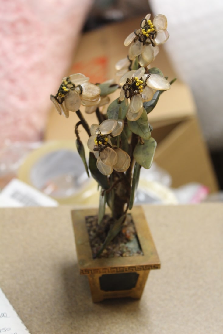 Jade Tree - 2