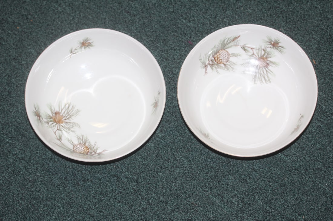 Pair of Rosenthal Bowls: please note: one has a faint hairline (did not go through) - the other one has a bottom chip - 7 1/4" in diameter