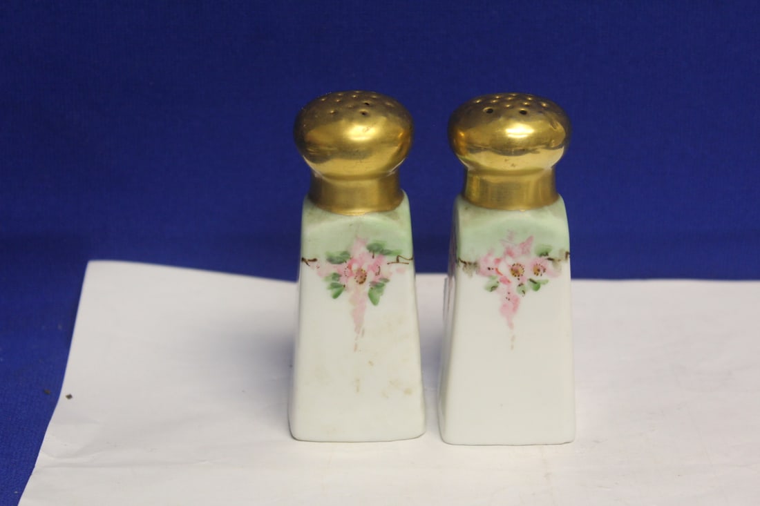Pair of Bavaria Salt and Pepper Shakers: hand painted - early to mid 20th century - 3 3/4" tall each