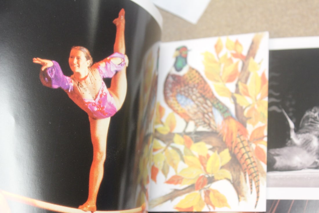 Softcover book - 4