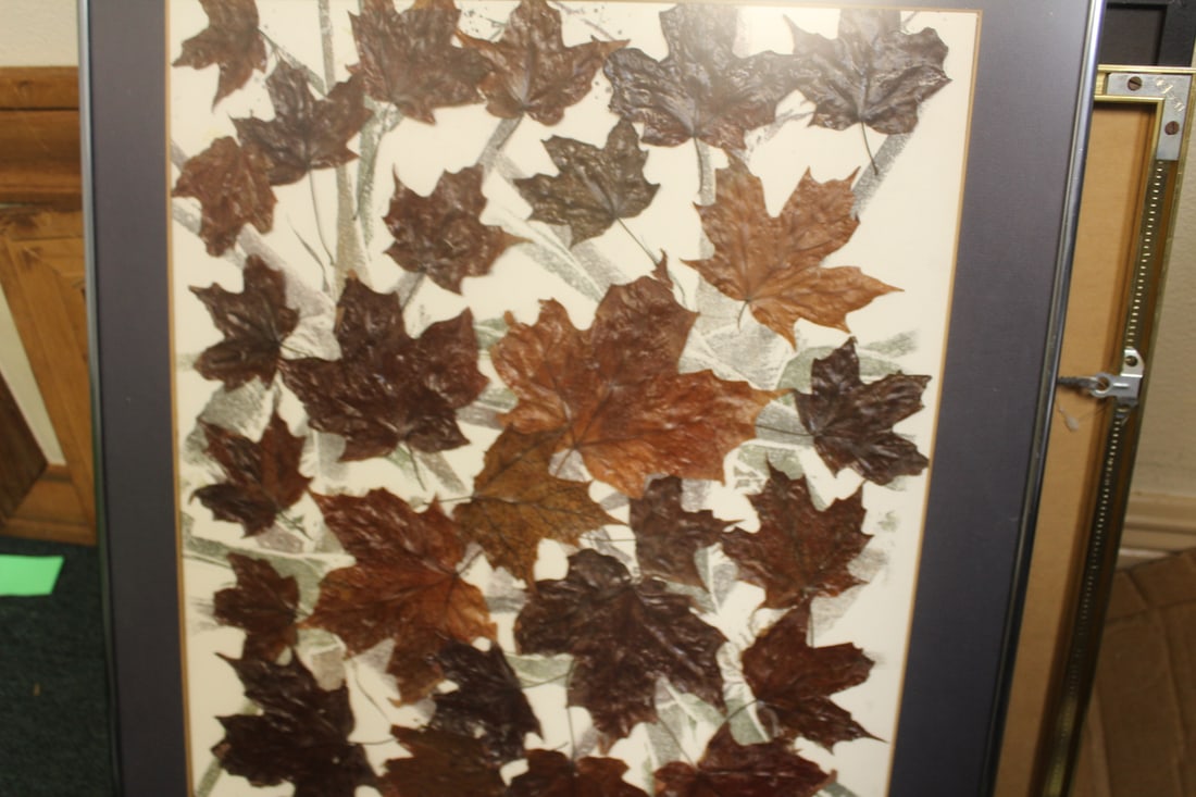 Framed Leaves - 3