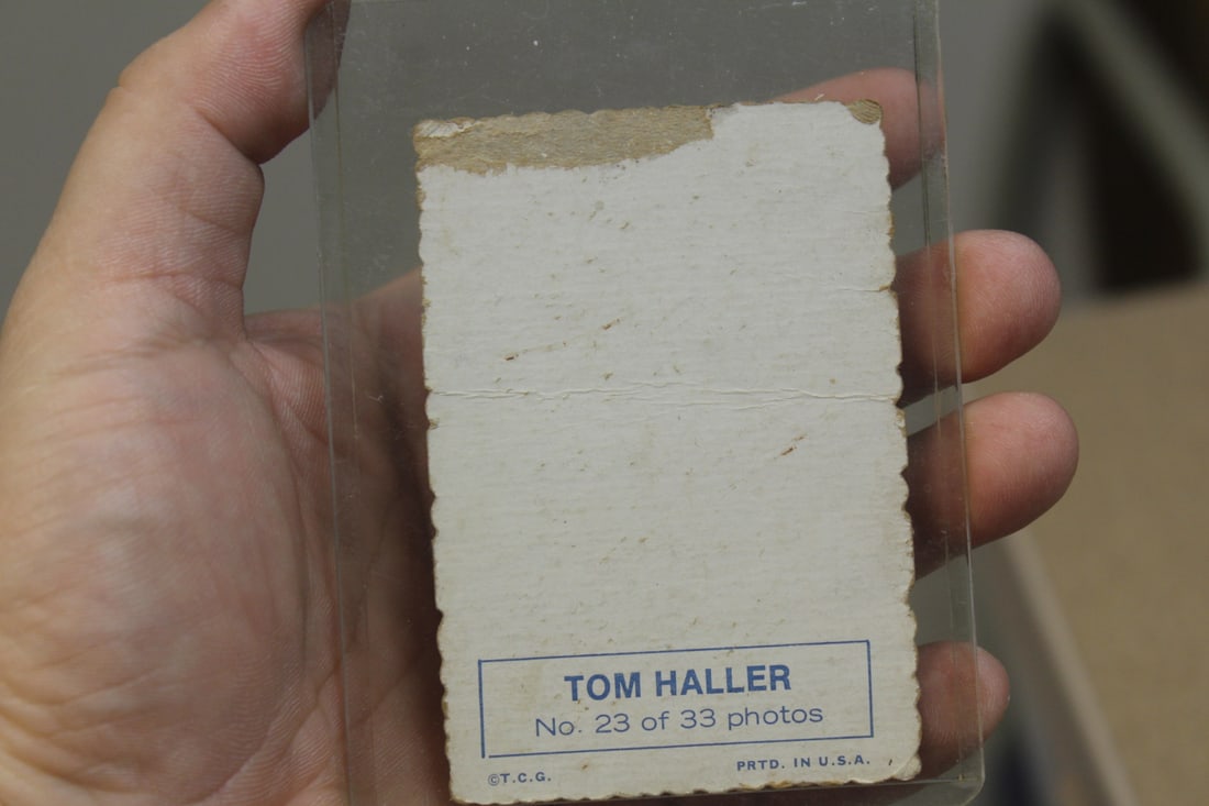 Tom Haller photograph - 2