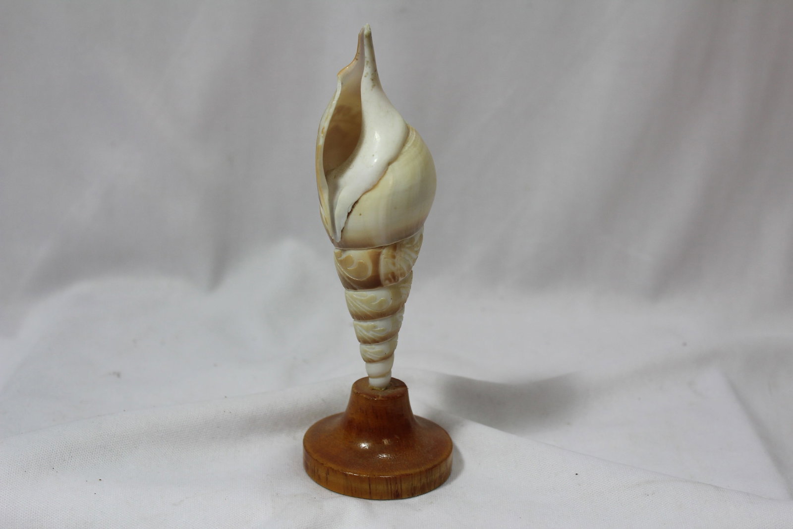 A Shell Art - 3