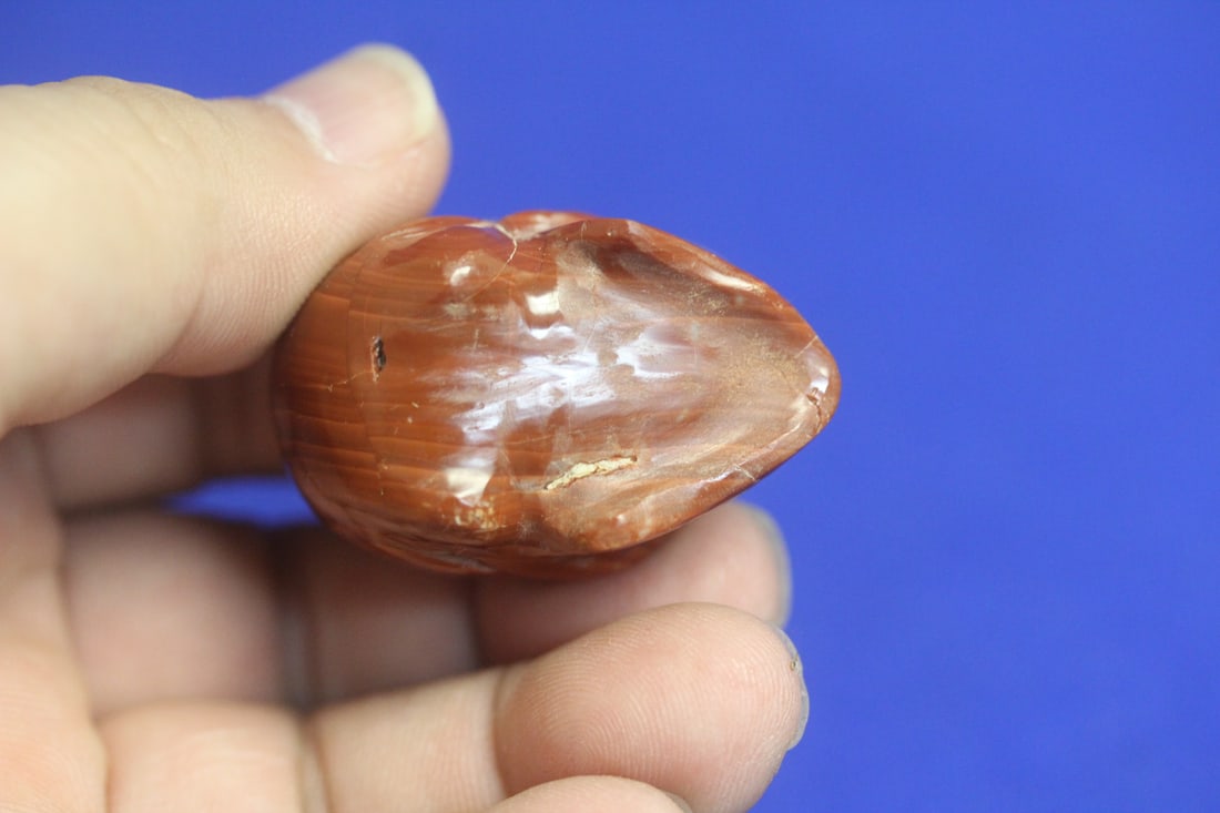 Gemstone Skull - 6