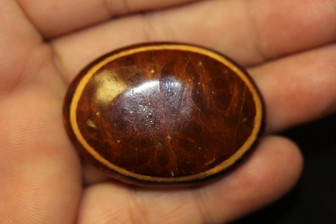 A Faux T o r t o i s e Shell? Brooch: 1 3/4" in diameter