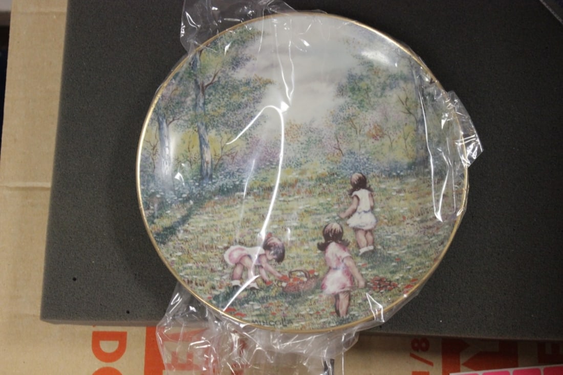 Collector's Plate "Picking Flowers": Appeared to be new - Boxed With COA - 8 1/2 inches in diameter