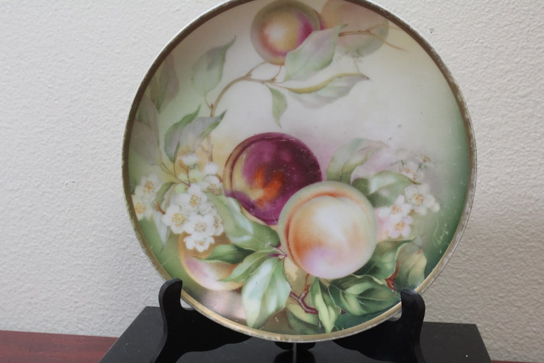 A Hand Painted Serves Bavaria Plate: Thomas pattern - 9" in diameter
