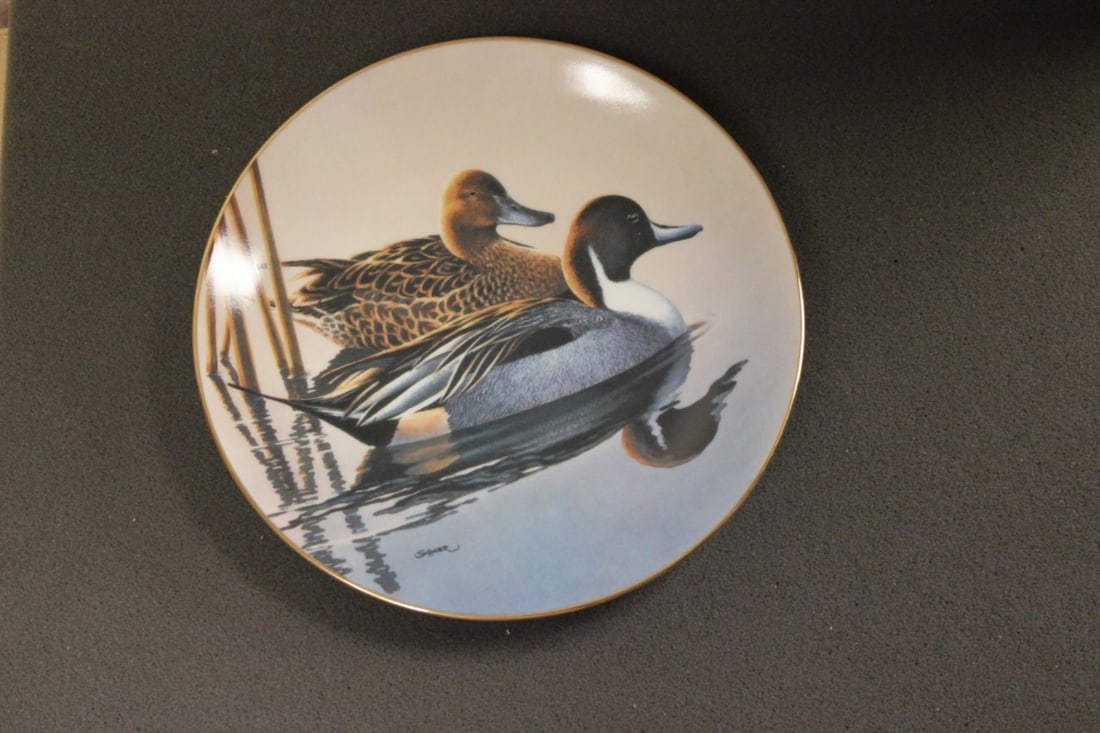 Collectable Plate "The Pintails": Created in 1991 with Stamp on the Back - Boxed with COA - 8 1/2 inches in diameter