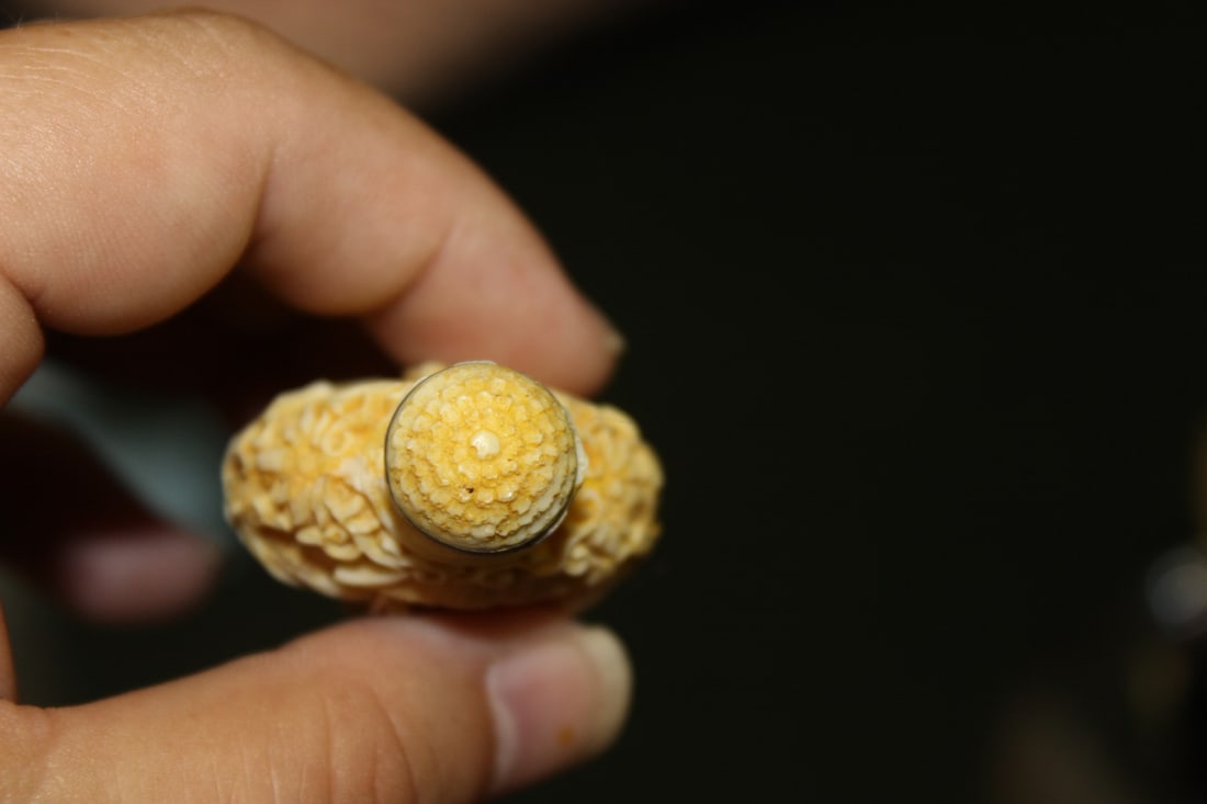 A Molded Snuff Bottle - 5