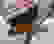item-70530429=3