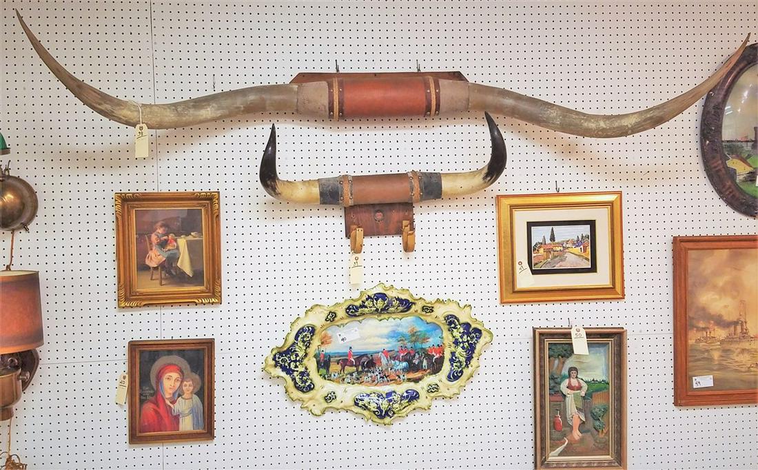 79.5" SPREAD LONGHORN STEER HORNS (1 of 2)