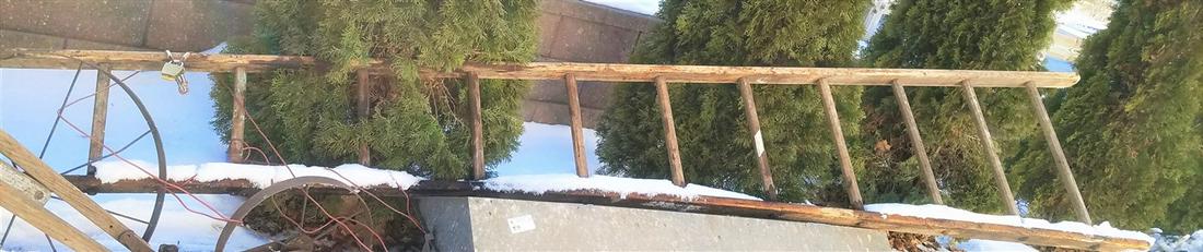 12' WOODEN APPLE LADDER (1 of 1)