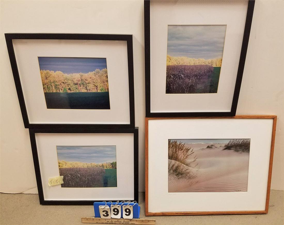 BX FRAMED PHOTOS + PR. LAMPS (1 of 3)