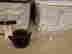 item-84855555=2