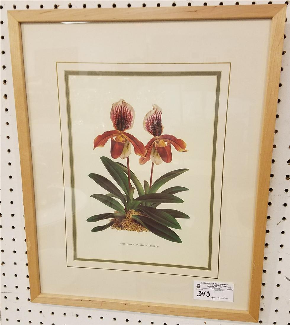 PR. FRAMED ORCHID PRINTS (1 of 4)