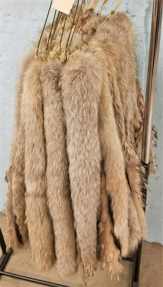 7 HANGERS COYOTE PELTS: 7 HANGERS COYOTE PELTS